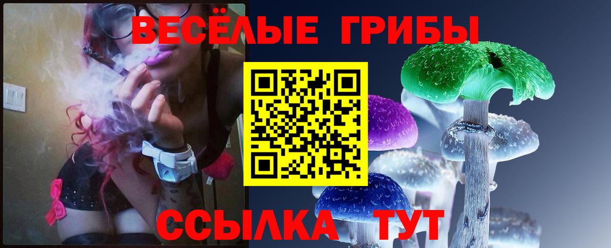 Псилоцибиновые грибы Psilocybe Дивногорск
