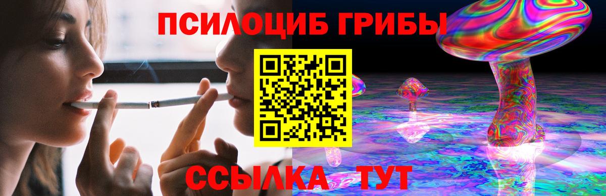 Дивногорск  Псилоцибиновые грибы мицелий  Вход с VPN  Псилоцибиновые грибы ЛСД 